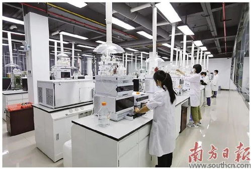 蓬江 以科技創(chuàng)新為引擎，新材料研發(fā)驅(qū)動產(chǎn)業(yè)升級