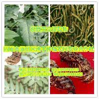 陜西大田生物 專注高品質秋水仙堿提取物，廠家直銷，全國包郵