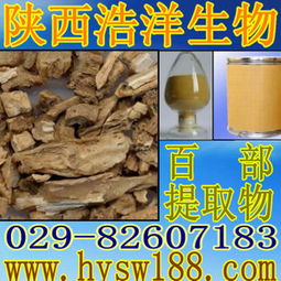 天然百部提取物 植物提取物供應商的優(yōu)質選擇