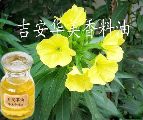 自然的力量 精油產品展廳中的植物提取物之旅