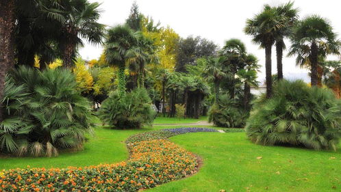 園林景觀設(shè)計(jì) 施工圖紙知識(shí)全面解析與綠化工程實(shí)踐要點(diǎn)