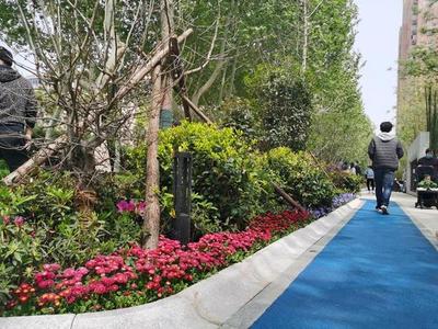 &ldquo;300米見綠,500米見園&rdquo;鄭州將新建多個月季主題公園!